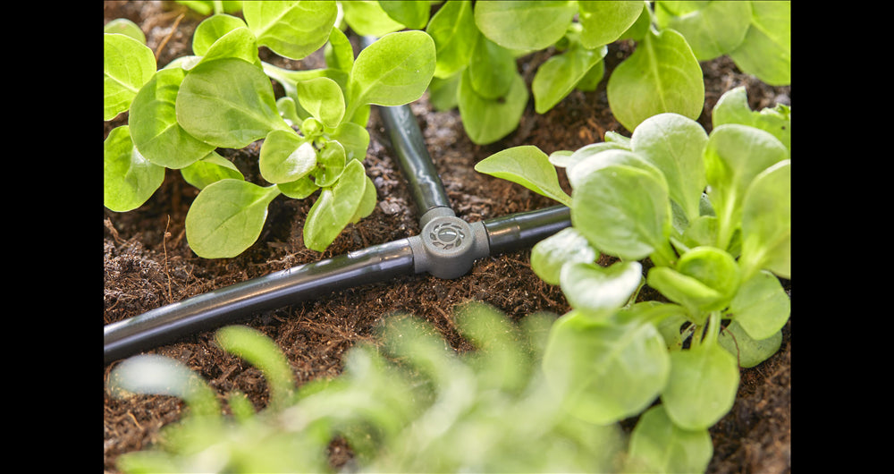 Junta en T 4.6mm 20u Gardena 13211-26 - 5